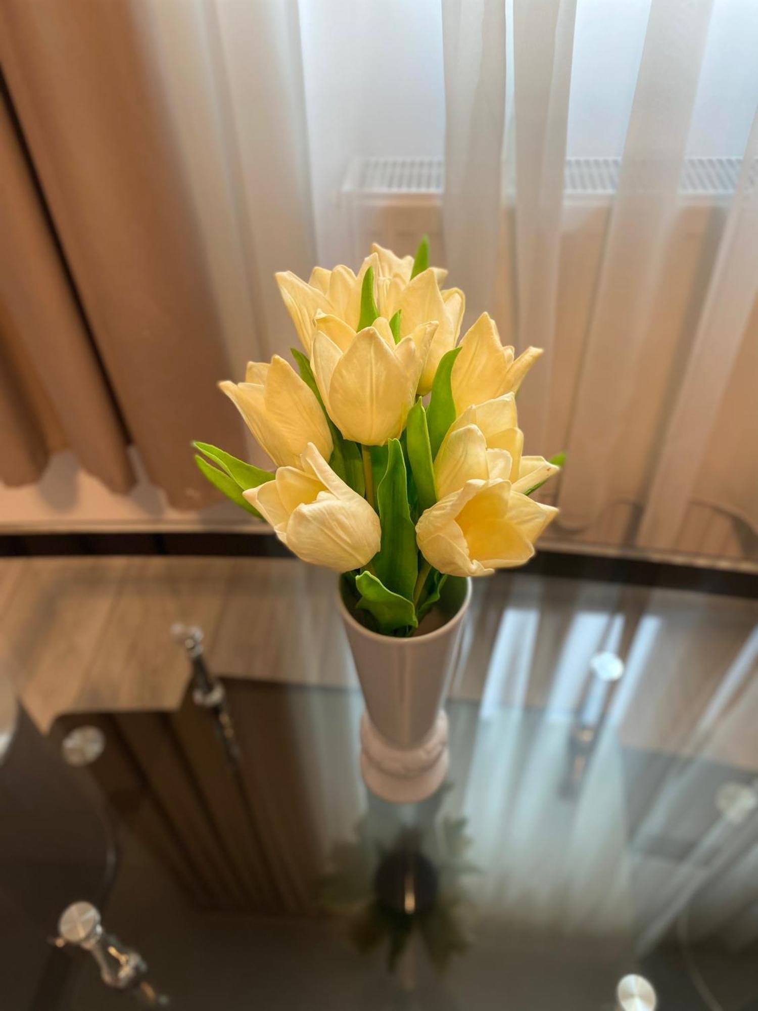 Appartement Garsoniera Trivale City à Piteşti Extérieur photo